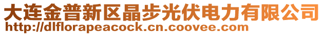 大連金普新區(qū)晶步光伏電力有限公司