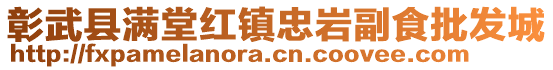 彰武縣滿堂紅鎮(zhèn)忠?guī)r副食批發(fā)城