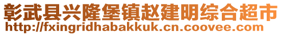 彰武县兴隆堡镇赵建明综合超市