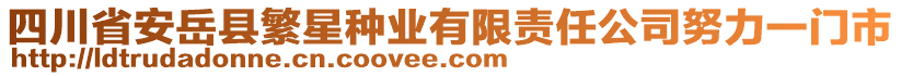四川省安岳县繁星种业有限责任公司努力一门市