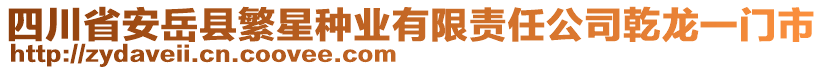 四川省安岳县繁星种业有限责任公司乾龙一门市