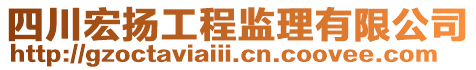 四川宏扬工程监理有限公司