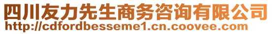 四川友力先生商務(wù)咨詢有限公司