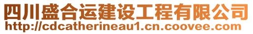 四川盛合運(yùn)建設(shè)工程有限公司