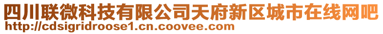 四川聯(lián)微科技有限公司天府新區(qū)城市在線網(wǎng)吧