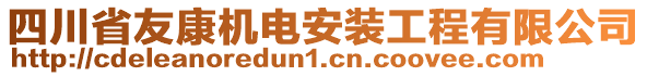 四川省友康機電安裝工程有限公司