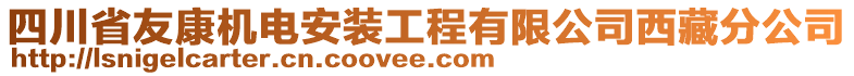 四川省友康機(jī)電安裝工程有限公司西藏分公司