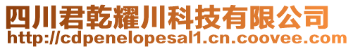 四川君乾耀川科技有限公司