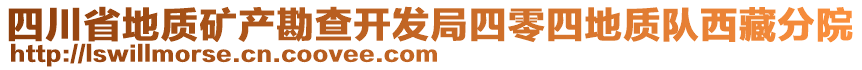 四川省地質礦產(chǎn)勘查開發(fā)局四零四地質隊西藏分院