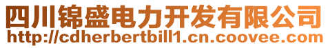 四川錦盛電力開發(fā)有限公司