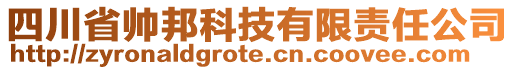 四川省帥邦科技有限責任公司