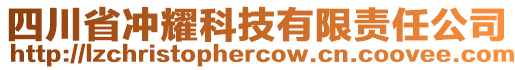 四川省沖耀科技有限責(zé)任公司