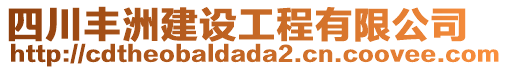 四川豐洲建設(shè)工程有限公司