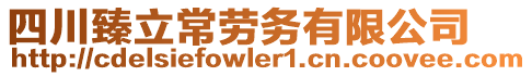 四川臻立常勞務(wù)有限公司