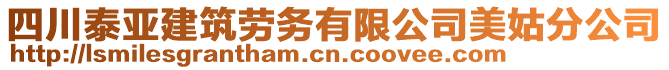 四川泰亚建筑劳务有限公司美姑分公司