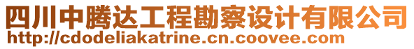 四川中騰達工程勘察設(shè)計有限公司