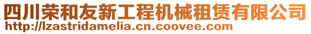 四川榮和友新工程機(jī)械租賃有限公司