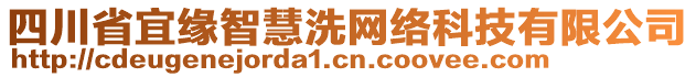 四川省宜緣智慧洗網(wǎng)絡科技有限公司