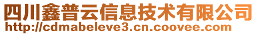 四川鑫普云信息技術(shù)有限公司