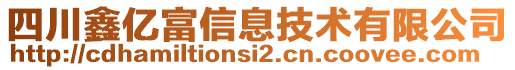 四川鑫億富信息技術(shù)有限公司