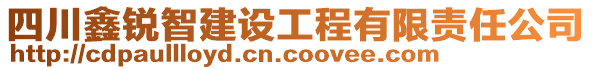 四川鑫銳智建設(shè)工程有限責(zé)任公司