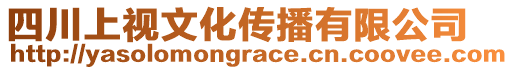 四川上視文化傳播有限公司