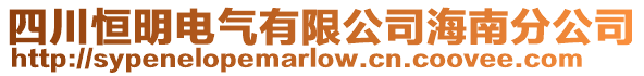 四川恒明電氣有限公司海南分公司