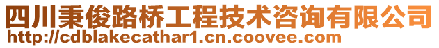 四川秉俊路橋工程技術咨詢有限公司