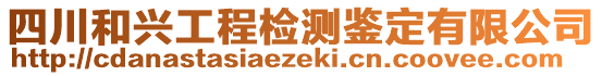 四川和興工程檢測鑒定有限公司