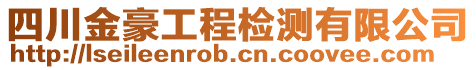 四川金豪工程檢測有限公司