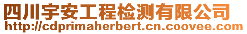 四川宇安工程檢測(cè)有限公司