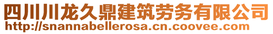 四川川龍久鼎建筑勞務(wù)有限公司