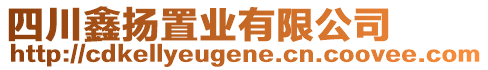四川鑫揚置業(yè)有限公司