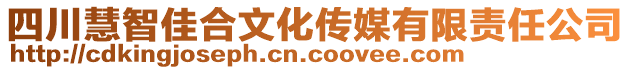 四川慧智佳合文化傳媒有限責(zé)任公司