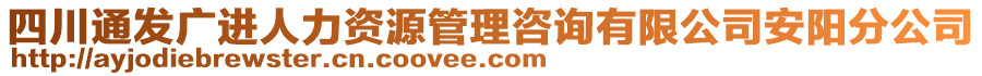 四川通發(fā)廣進人力資源管理咨詢有限公司安陽分公司