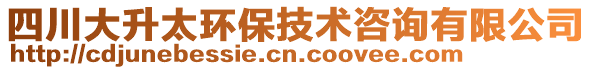 四川大升太環(huán)保技術(shù)咨詢(xún)有限公司