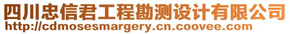 四川忠信君工程勘測設(shè)計(jì)有限公司