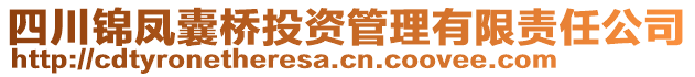 四川錦鳳囊橋投資管理有限責(zé)任公司