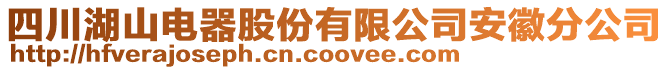 四川湖山電器股份有限公司安徽分公司