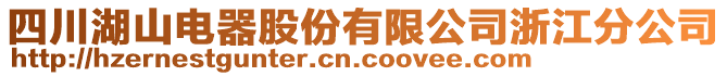 四川湖山電器股份有限公司浙江分公司