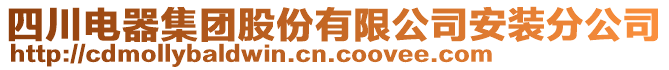 四川電器集團(tuán)股份有限公司安裝分公司