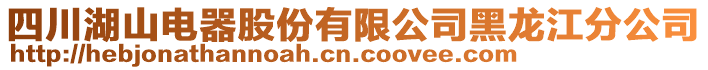 四川湖山電器股份有限公司黑龍江分公司