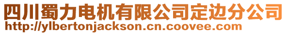 四川蜀力電機(jī)有限公司定邊分公司