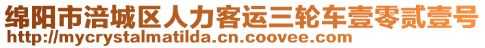 綿陽市涪城區(qū)人力客運(yùn)三輪車壹零貳壹號(hào)