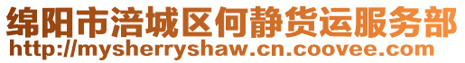 綿陽市涪城區何靜貨運服務部