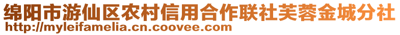 綿陽市游仙區(qū)農(nóng)村信用合作聯(lián)社芙蓉金城分社