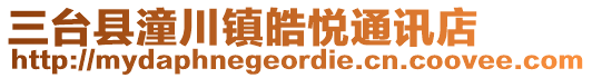 三台县潼川镇皓悦通讯店