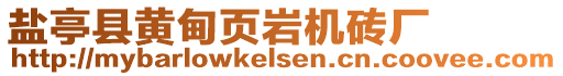 鹽亭縣黃甸頁巖機磚廠