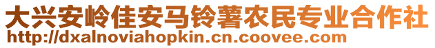 大興安嶺佳安馬鈴薯農(nóng)民專業(yè)合作社