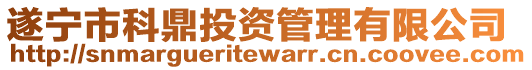 遂寧市科鼎投資管理有限公司